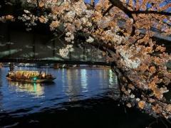 画像(240x180)・拡大画像(640x480)