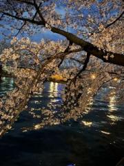 画像(180x240)・拡大画像(480x640)