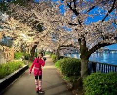 画像(240x196)・拡大画像(640x525)