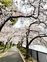 画像(180x240)・拡大画像(480x640)