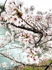 画像(180x240)・拡大画像(480x640)