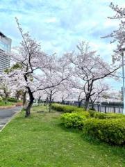 画像(180x240)・拡大画像(480x640)