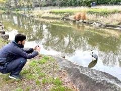 画像(240x180)・拡大画像(640x480)