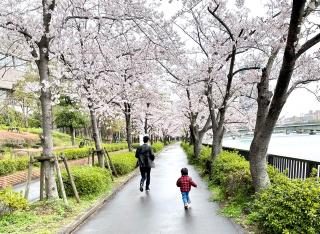 画像(320x234)・拡大画像(640x468)