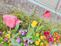 画像(240x180)・拡大画像(640x480)