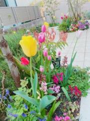 画像(180x240)・拡大画像(480x640)