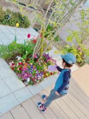 画像(180x240)・拡大画像(480x640)