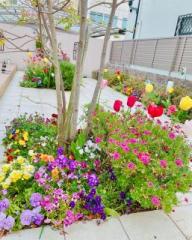 画像(192x240)・拡大画像(514x640)