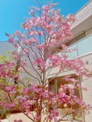 �摜(180x240)�E�g��摜(480x640)