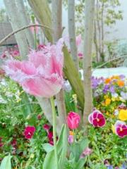 �摜(180x240)�E�g��摜(480x640)