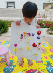 画像(175x240)・拡大画像(468x640)