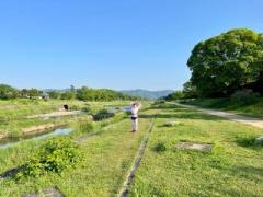 �摜(240x180)�E�g��摜(640x480)