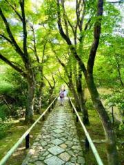 �摜(180x240)�E�g��摜(480x640)