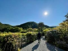 �摜(240x180)�E�g��摜(640x480)