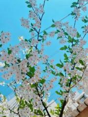 画像(180x240)・拡大画像(480x640)