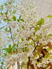 画像(180x240)・拡大画像(480x640)