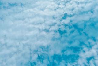 �摜(320x216)�E�g��摜(640x433)