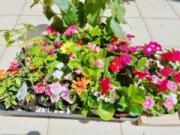 �摜(180x135)�E�g��摜(640x480)