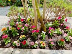 �摜(240x180)�E�g��摜(640x480)