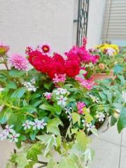 �摜(180x240)�E�g��摜(480x640)