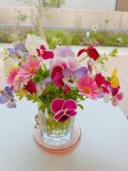 画像(180x240)・拡大画像(480x640)