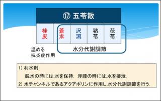 �摜(320x201)�E�g��摜(561x354)