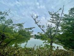 �摜(240x180)�E�g��摜(640x480)