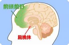 �摜(240x156)�E�g��摜(404x263)