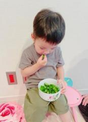 画像(174x240)・拡大画像(464x640)