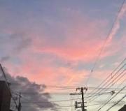 画像(180x159)・拡大画像(640x567)