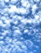 画像(139x180)・拡大画像(495x640)