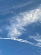 画像(135x180)・拡大画像(480x640)