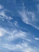 画像(135x180)・拡大画像(480x640)