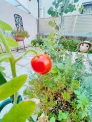 画像(180x240)・拡大画像(480x640)