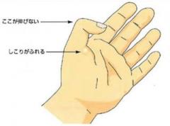 �摜(240x178)�E�g��摜(640x477)