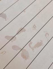 �摜(187x240)�E�g��摜(500x640)