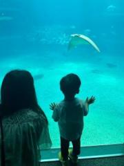 �摜(180x240)�E�g��摜(480x640)