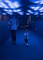 �摜(174x240)�E�g��摜(467x640)