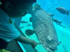 �摜(240x180)�E�g��摜(640x480)