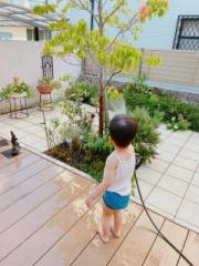 �摜(180x240)�E�g��摜(480x640)