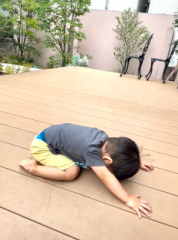 �摜(178x240)�E�g��摜(476x640)