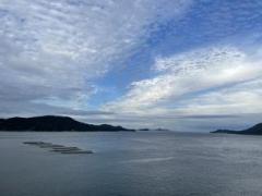 �摜(240x180)�E�g��摜(640x480)