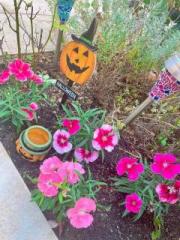 �摜(180x240)�E�g��摜(480x640)