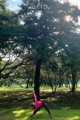 �摜(161x240)�E�g��摜(430x640)