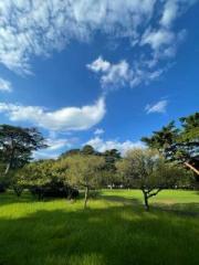 �摜(180x240)�E�g��摜(480x640)