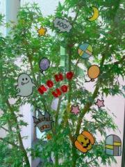 �摜(180x240)�E�g��摜(480x640)