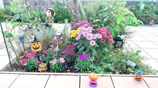 �摜(320x180)�E�g��摜(640x360)