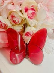 �摜(180x240)�E�g��摜(480x640)