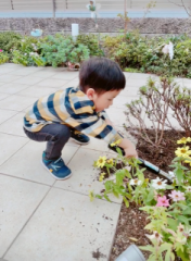 �摜(176x240)�E�g��摜(471x640)