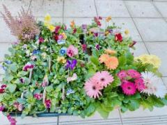 �摜(240x180)�E�g��摜(640x480)